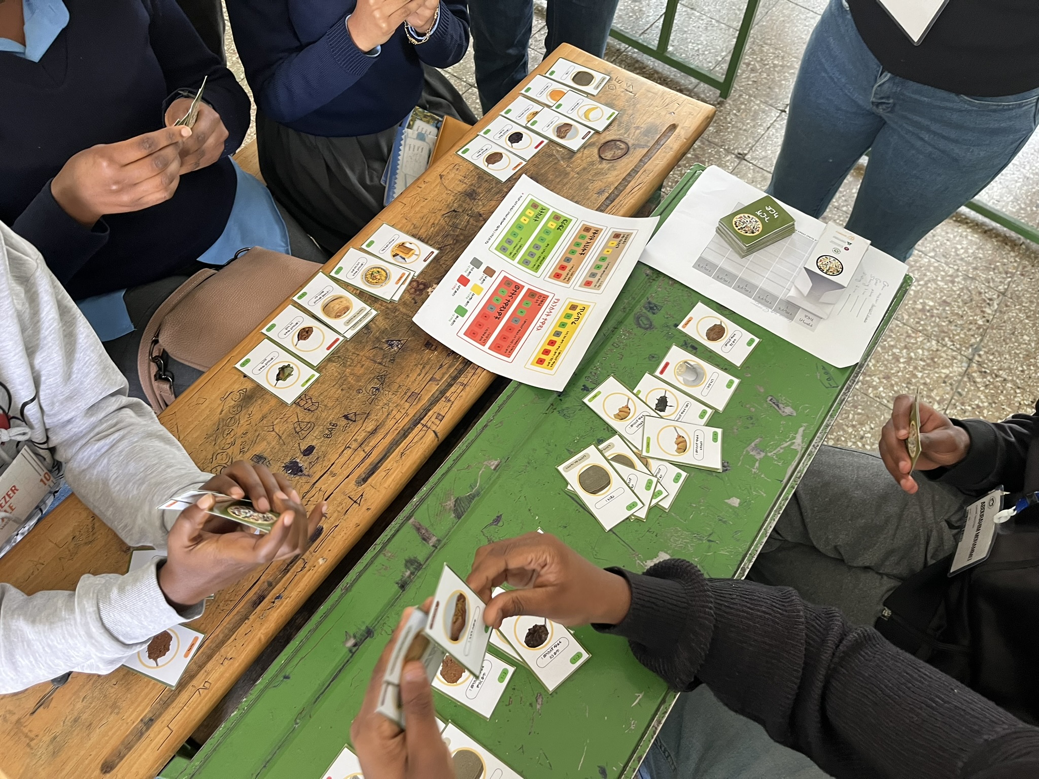 Serious Games in Ethiopia: EcoFoodSystems Develops Game Toolkit for Addis Ababa’s Adolescents